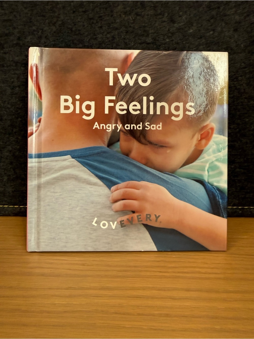 LOVEVERY Two Big Feelings Angry Sad Hardcover Toddler Emotions Book